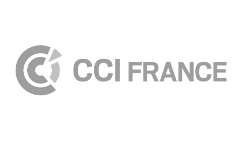 CCI de France